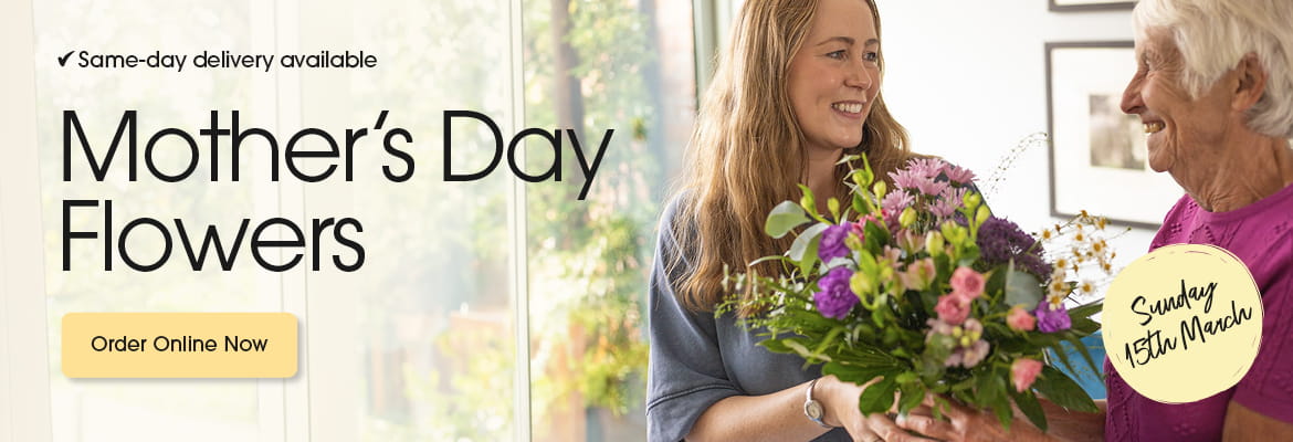 Seasonal bouquets from Sweetpea And Willow Florist in Hastings offering same-day delivery