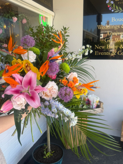 Florist Choice Flowers - Florist’s choice bouquet by Sweet Pea and Willow Florist, handcrafted using fresh seasonal blooms and beautifully arranged for hand delivery.