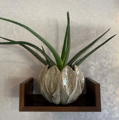 Aloe Vera Potted - Stylish aloe vera plant in a decorative ceramic pot. An easy-care indoor gift by Sweet Pea and Willow, perfect for homes, offices, and plant lovers.